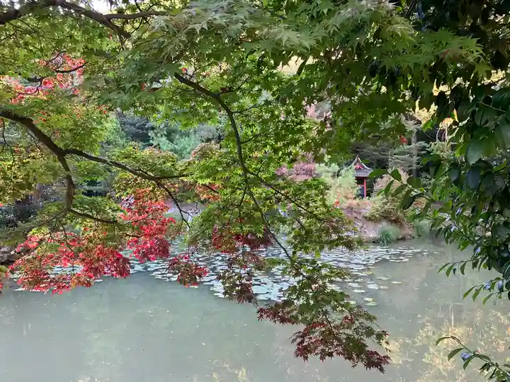 龍泉寺(大阪府)