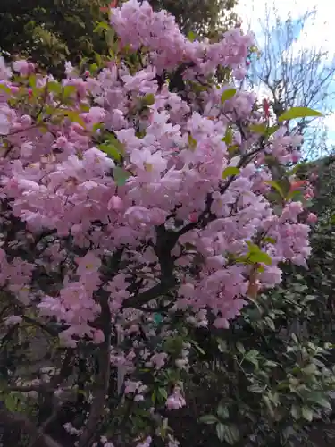 東玉川神社(東京都)