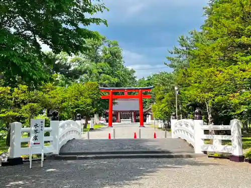 北海道護國神社の鳥居