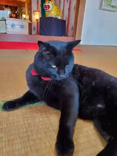 高司神社〜むすびの神の鎮まる社〜の動物