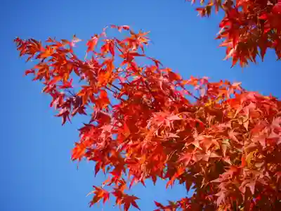 極楽山　浄土寺の自然