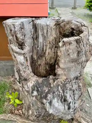 浅間神社(神奈川県)