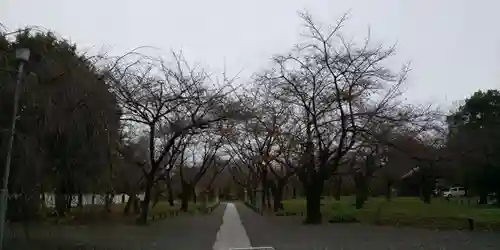 平野神社(京都府)