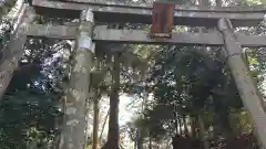 鼻節神社の鳥居