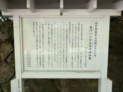 住吉神社の{uncategorized: "未分類", other: "その他", undefined: "問題あり", building: "その他建物", grave: "お墓", sacred_gate: "鳥居", guardian: "狛犬", statue: "像", buddha: "仏像", history: "歴史", nature: "自然", garden: "庭園", animal: "動物", pagoda: "塔", temizu: "手水舎", mountain_gate: "山門・神門", sanctuary: "本殿・本堂", subordinate: "末社・摂社", art: "芸術", scenery: "景色", jizo: "地蔵", ema: "絵馬", goshuin: "御朱印", omikuji: "おみくじ", items: "授与品その他", amulet: "お守り", goshuincho: "御朱印帳", eats: "食事", festival: "お祭り", votive_dance: "神楽", shichigosan: "七五三参", wedding: "結婚式", experience: "体験その他", initially: "初詣", around: "周辺", anti_infection: "感染症対策"}