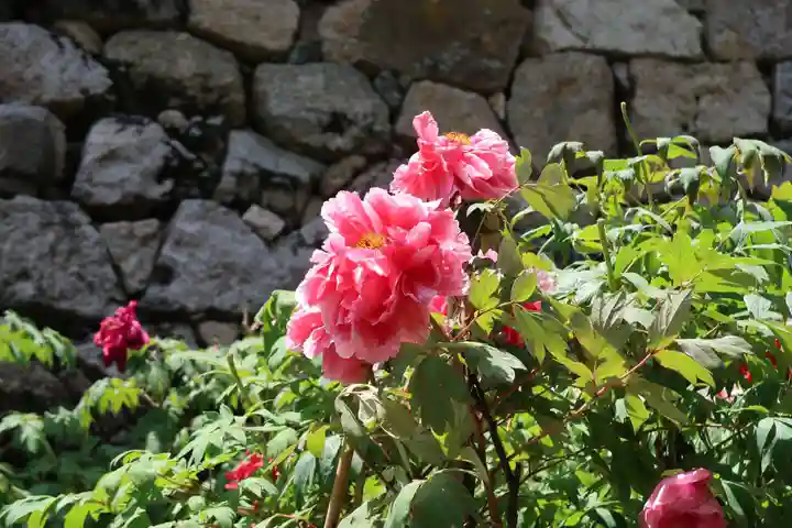 長谷寺(奈良県)