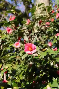 三津厳島神社(愛媛県)(2026年03月01日(日) 16時12分31秒投稿)