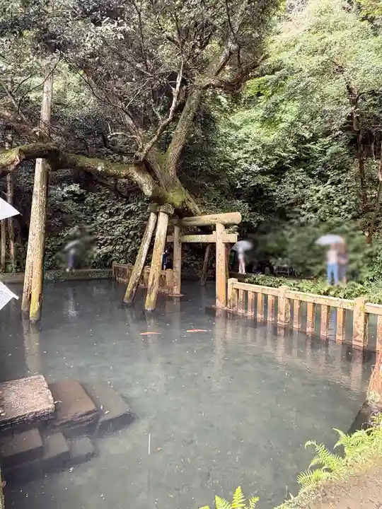 鹿島神宮(茨城県)
