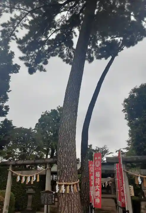 中野沼袋氷川神社(東京都)