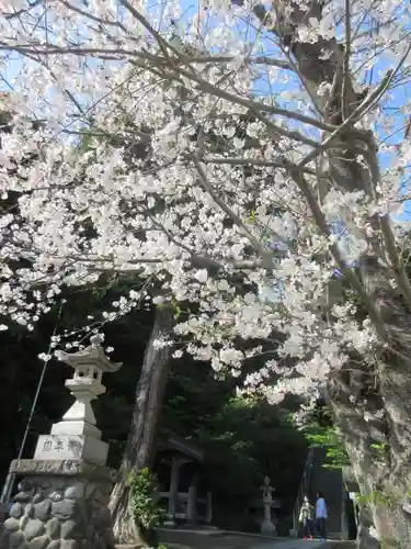 甘縄神明神社（甘縄神明宮）の景色