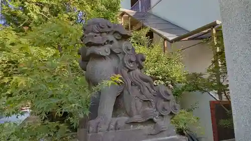 松戸神社の狛犬