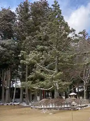 壇上伽藍(和歌山県)