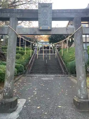 白幡八幡大神の鳥居