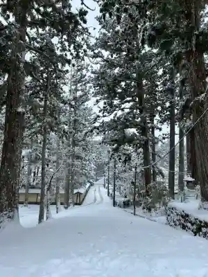 高野山真言宗総本山金剛峯寺(和歌山県)