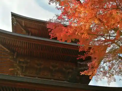 豪徳寺のその他建物