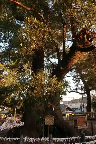 細江神社(静岡県)