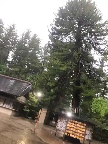 大崎八幡宮(宮城県)