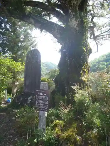楽円寺(愛知県)