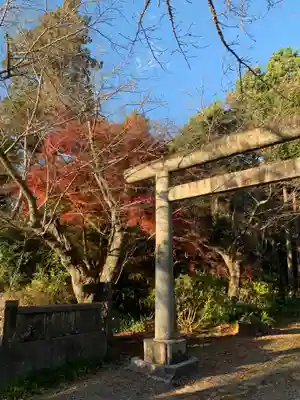 八幡神社(千葉県)