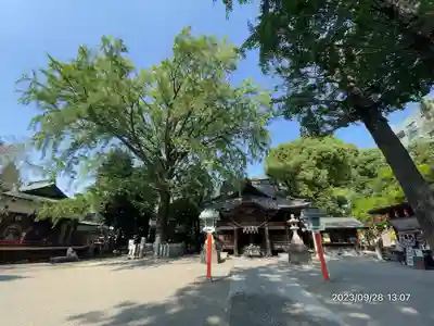 田無神社(東京都)