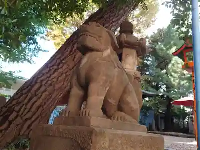 上目黒氷川神社の狛犬
