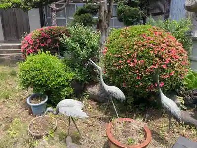 大山阿夫利神社御分霊社(神奈川県)