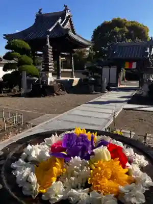 真言宗　善通寺派　薬王寺(香川県)