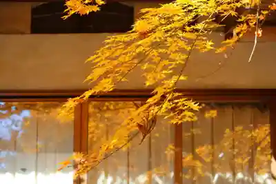 田村神社の自然