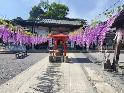 寺岡山元三大師(栃木県)