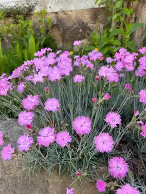 時光寺(兵庫県)