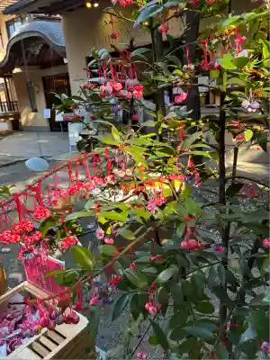 赤坂氷川神社(東京都)