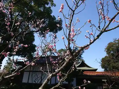 小松天満宮のその他建物