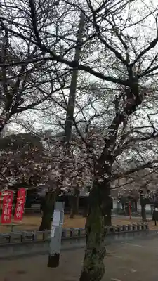 蓮馨寺のその他建物