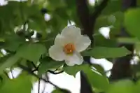 滑川神社 - 仕事と子どもの守り神の庭園
