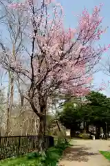 月寒神社(北海道)