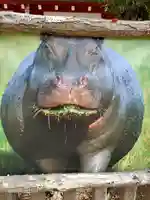 五方山熊野神社(東京都)