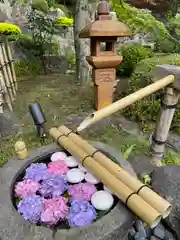 宝徳寺の手水