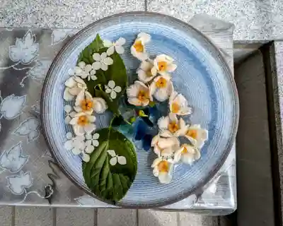 美瑛神社の手水舎