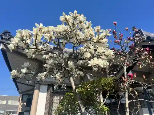 文相寺(京都府)