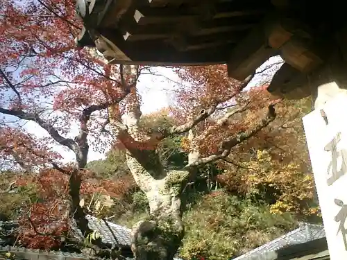 正続院（円覚寺塔所）の庭園