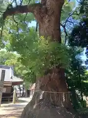 宗像神社(愛媛県)