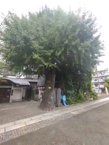 橋場寺不動院（橋場不動尊）(東京都)