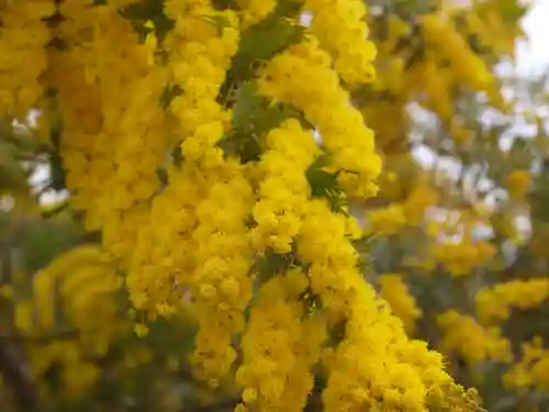 三毳不動尊の周辺