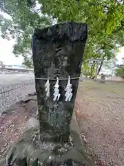 金刀比羅神社(徳島県)