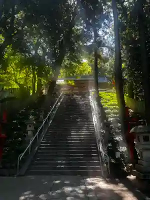 枚岡神社の{uncategorized: "未分類", other: "その他", undefined: "問題あり", building: "その他建物", grave: "お墓", sacred_gate: "鳥居", guardian: "狛犬", statue: "像", buddha: "仏像", history: "歴史", nature: "自然", garden: "庭園", animal: "動物", pagoda: "塔", temizu: "手水舎", mountain_gate: "山門・神門", sanctuary: "本殿・本堂", subordinate: "末社・摂社", art: "芸術", scenery: "景色", jizo: "地蔵", ema: "絵馬", goshuin: "御朱印", omikuji: "おみくじ", items: "授与品その他", amulet: "お守り", goshuincho: "御朱印帳", eats: "食事", festival: "お祭り", votive_dance: "神楽", shichigosan: "七五三参", wedding: "結婚式", experience: "体験その他", initially: "初詣", around: "周辺", anti_infection: "感染症対策"}
