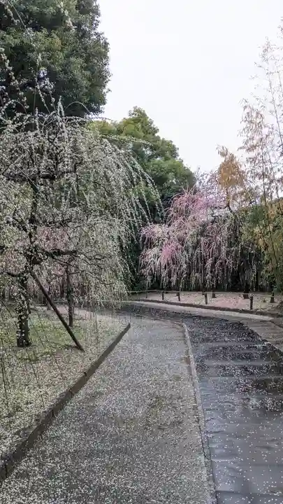 城南宮(京都府)