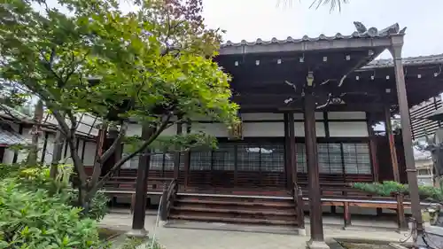 教専寺(京都府)
