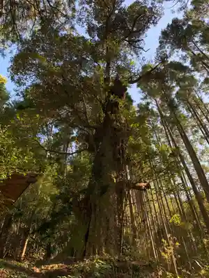 天照神社の自然