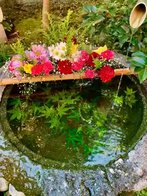 仙台大神宮の手水舎