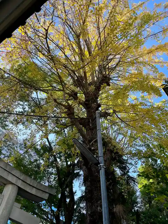 下谷神社の自然